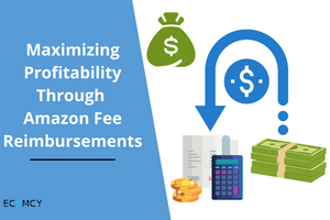 Maximizing Profitability Through Amazon Fee Reimbursements