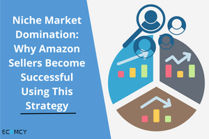 Niche Market Domination: Why Amazon Sellers Become Successful Using This Strategy