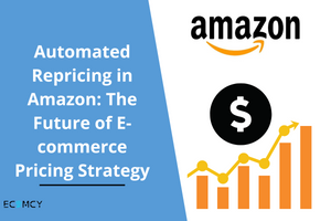 Automated Repricing in Amazon: The Future of E-commerce Pricing Strategy